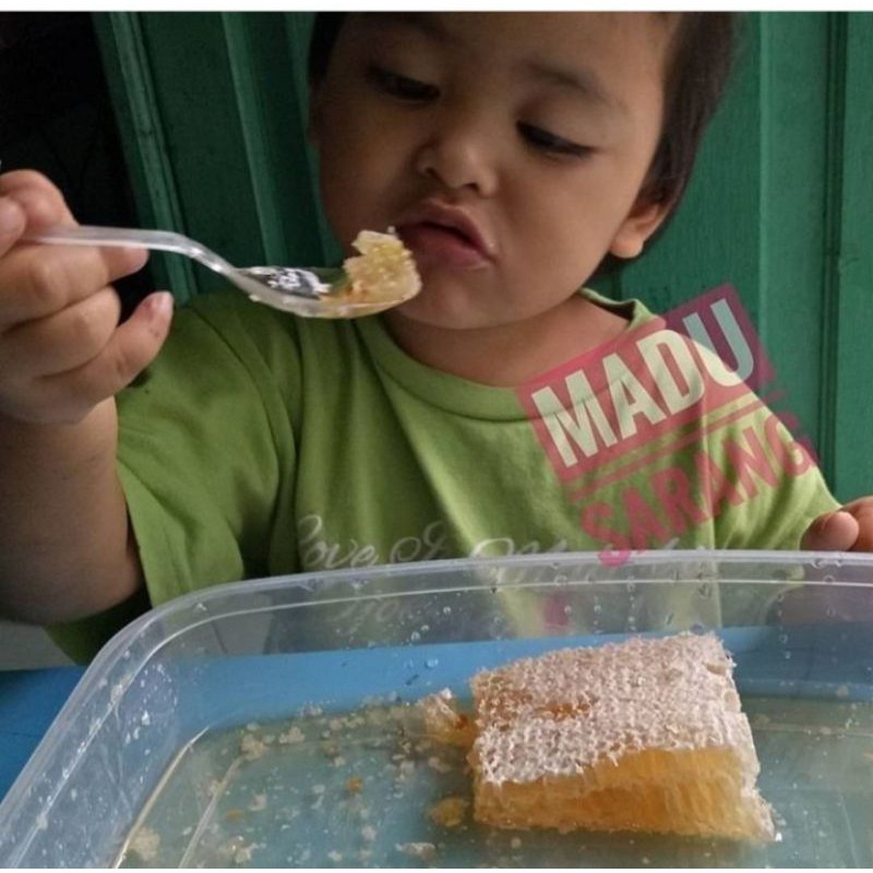 

FLASH SALE MADU SARANG 500 gr