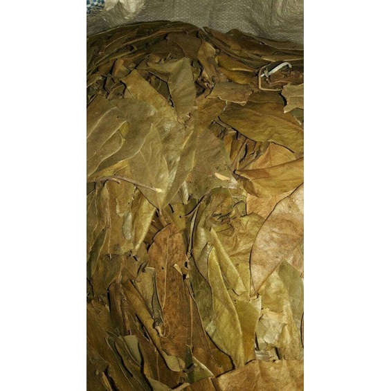

[[BISA COD]] DAUN SIRSAK KERING 500gram 500 gram NEW Kode 382