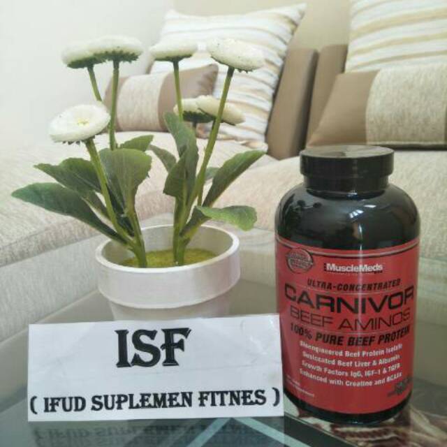 Amino Carnivor 300 tabs Carnivor beef Amino Suplemen Fitnes Amino Carnivor 300 tablet