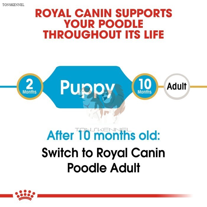 Royal Canin Poodle Puppy 3 kg Junior Makanan Anak Anjing Dry 3kg Dog Food Royal Cannin rc