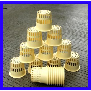 Netpot Besar 10cm Warna Putih Pot Hidroponik Net Pot 10 Cm Netpot Besar 10cm Warna Putih Pot Hidroponik Net Pot 10 Cm