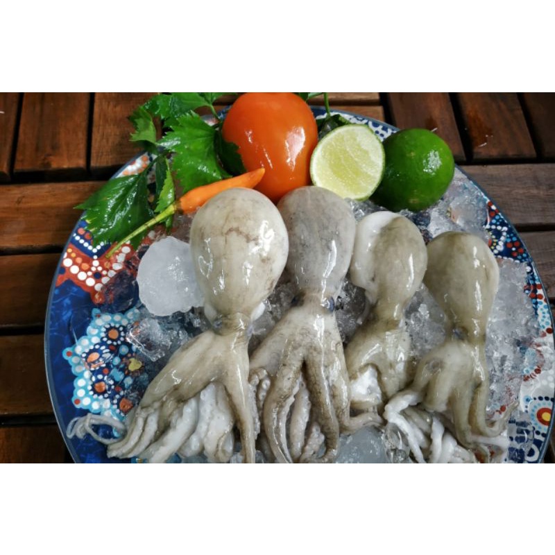 

Baby Gurita Frozen ( 500 gr )