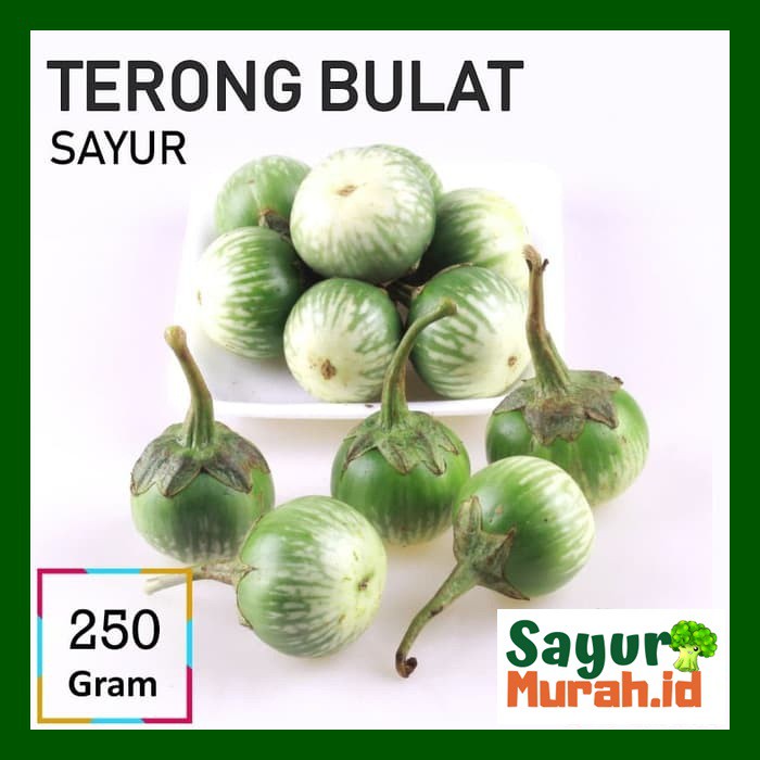 

TERONG BULAT SAYUR [250g]