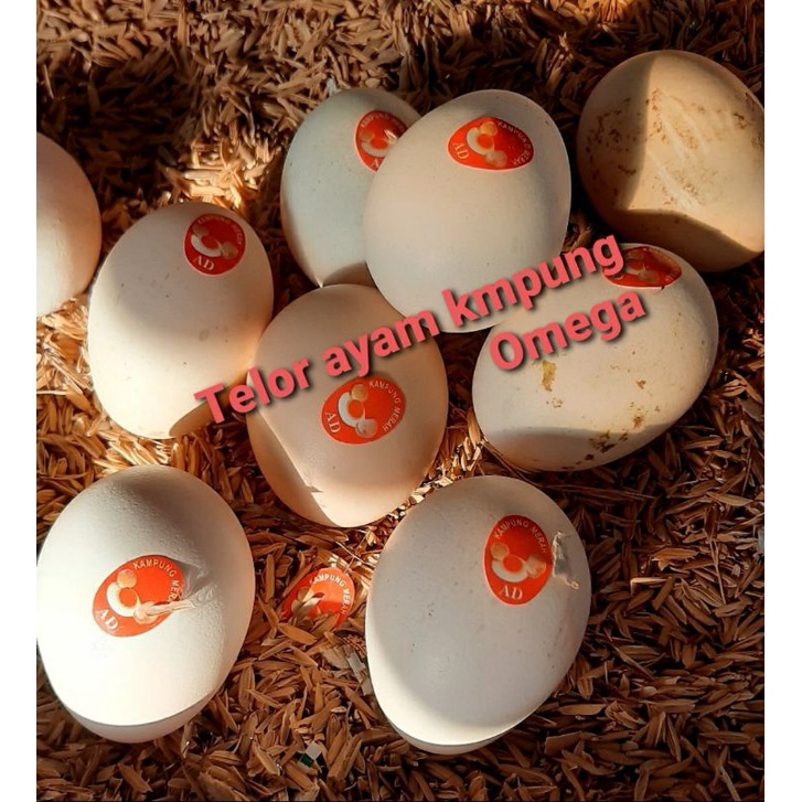 

Telur ayam kampung Omega 3pcs