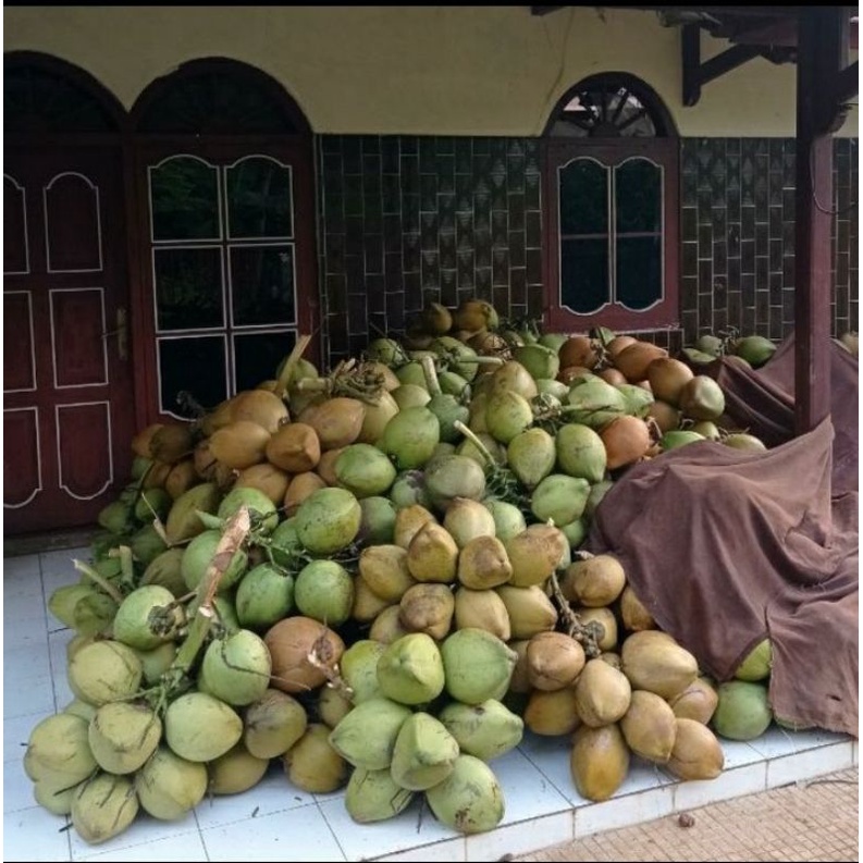 

KELAPA MUDA FRESH