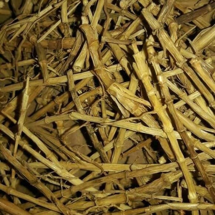 

AKAR ALANG-ALANG KERING 1 KG