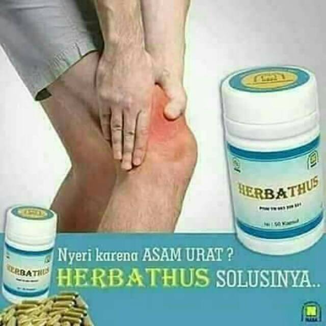 

HERBATHUS,,atasi asam urat, nyeri sendi,& pegal linu