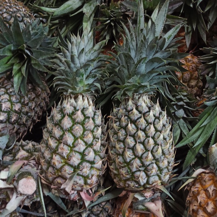 Nanas Muda Kupas bersih 1 pack - NANAS MUDA