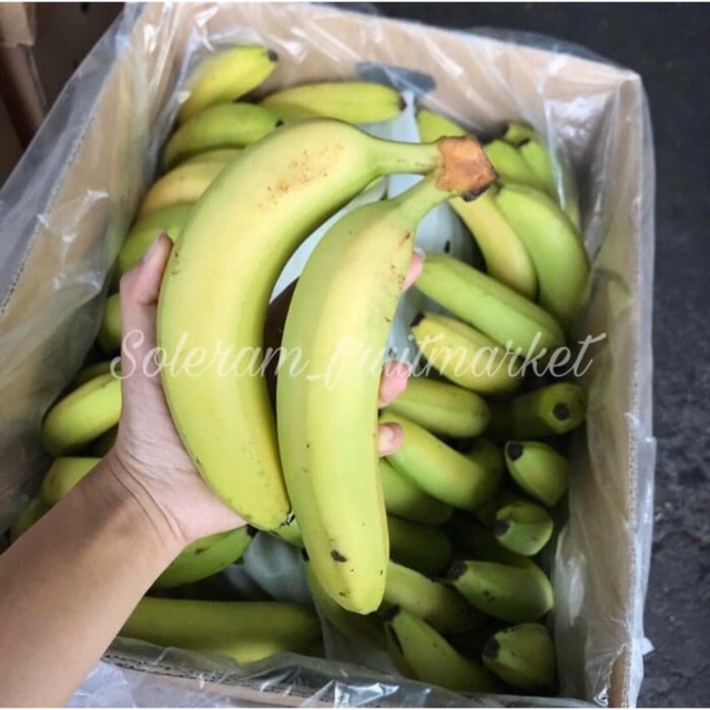 

Pisang 1000 gr cavendish