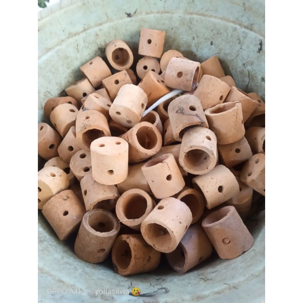 pot tanaman aquarium