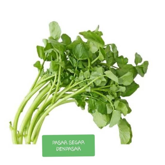 

WATERCRESS/SELADA AIR 250Gr