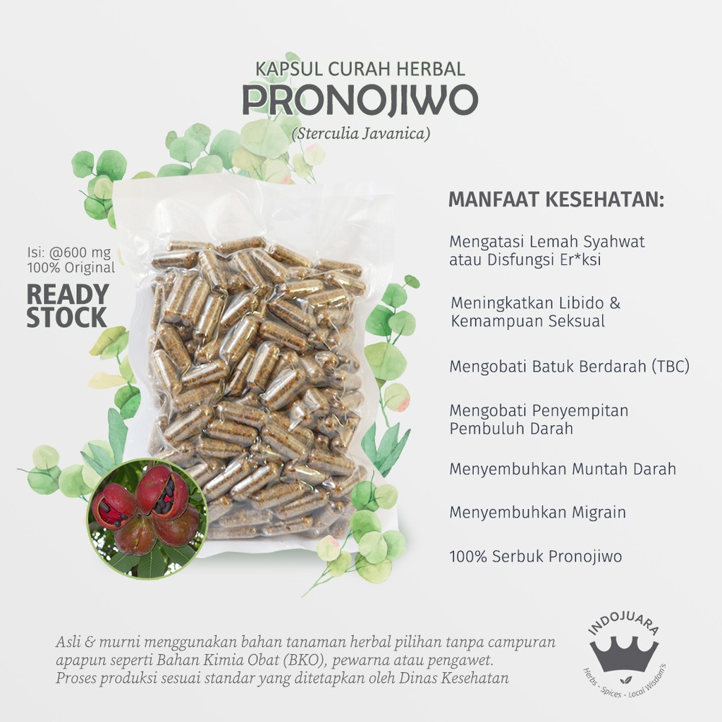 

PRONOJIWO 100 Kapsul Curah Herbal Libido Lemah Syahwat Penyempitan Pembuluh Batuk Muntah Darah 600mg