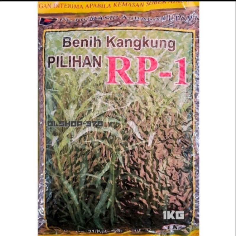 Benih Kangkung PILIHAN RP-1 Benih kangkung PRIMASID Kemasan 1 kg