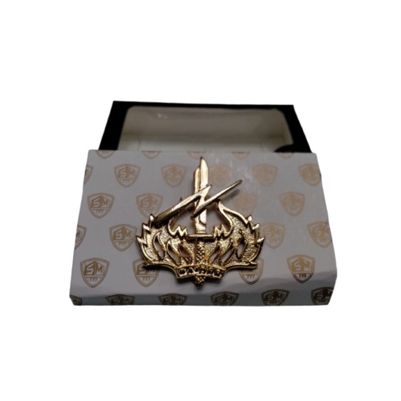 Brevet Wing Pin Raider TNI AD
