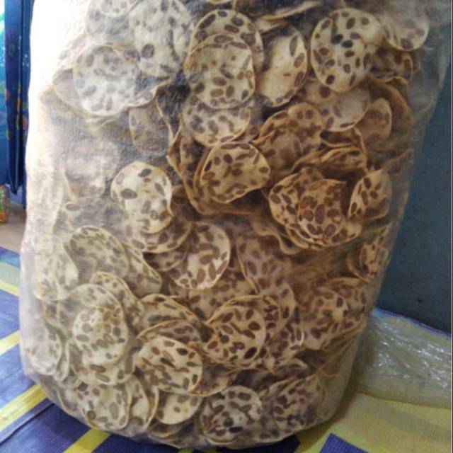 

Keripik tempe benguk