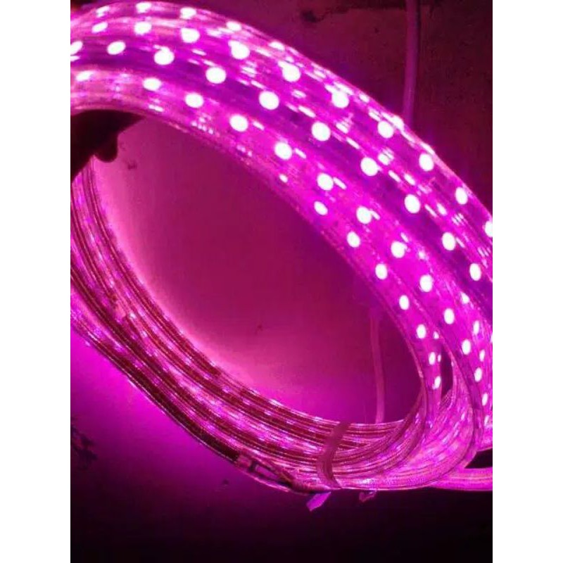 (10 METER) LED STRIP SELANG 220V 8 WATT/METER SMD