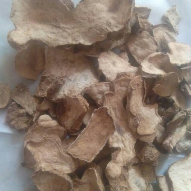 Umbi dewa kering / umbinya tanaman daun dewa kering 500 gram