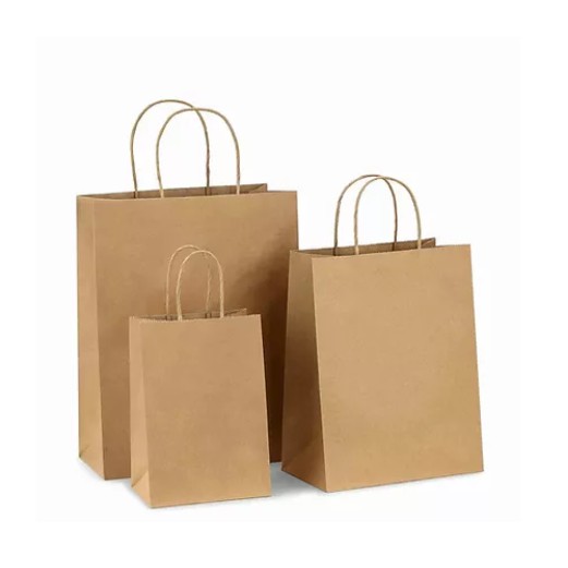 

Paper Bag (Tas Kertas) + Sablon | 16 x 25 x 5 cm | 500 GSM | Alternatif plastik