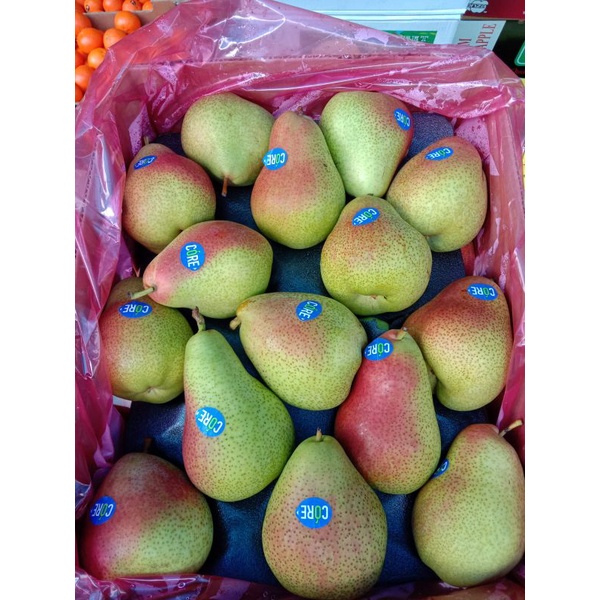 

pear forelle / pir forelli / pear forelli