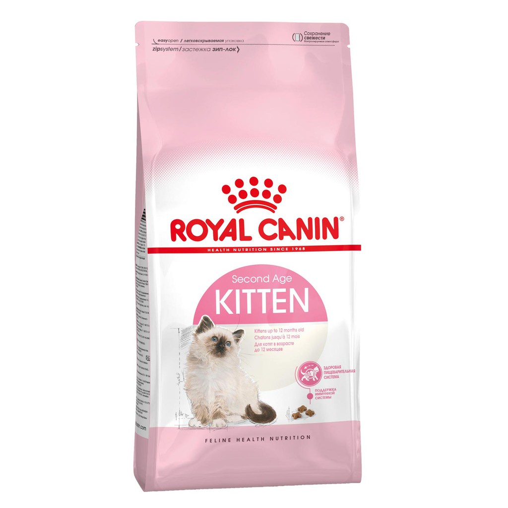 RC 36  KITTEN 4KG