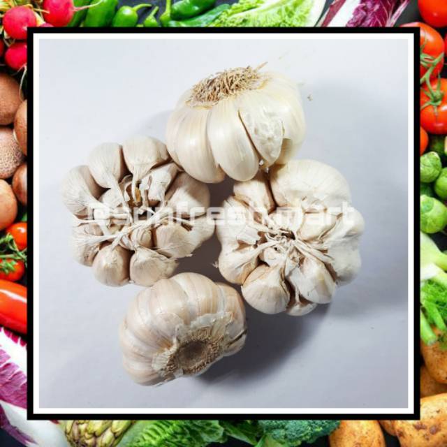 

Bawang Putih 500 Gram