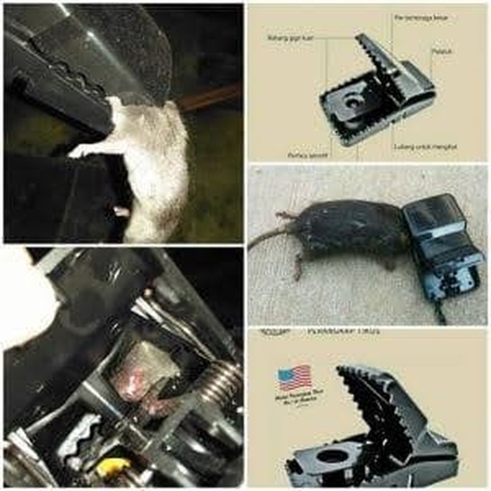 Jual Perangkap Atau Jebakan Tikus Jonicat Original Dan Ampuh Murah