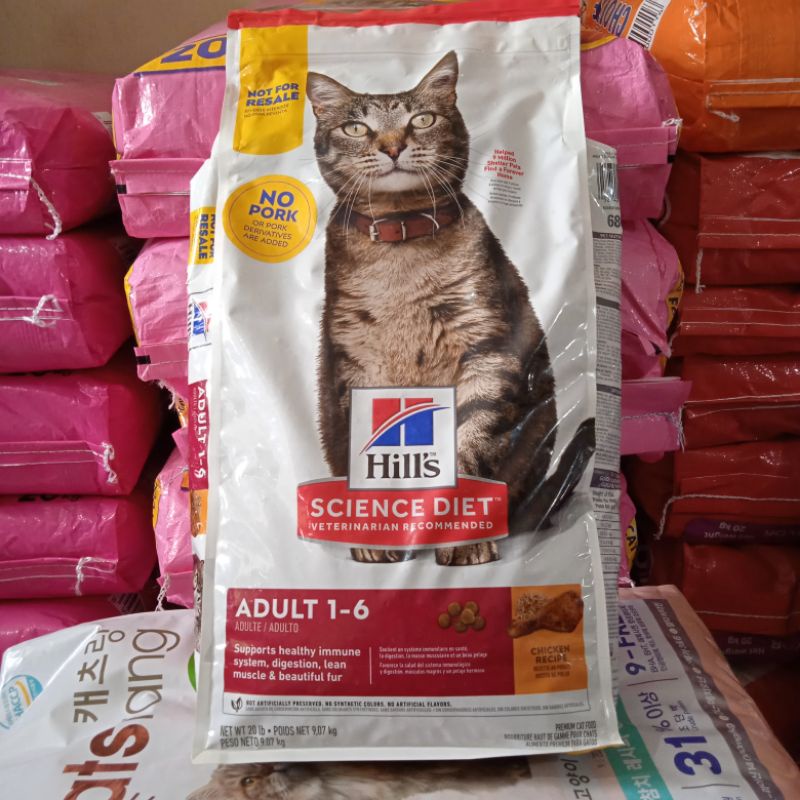 Hill's Science Diet Cat Adult 9,07kg Cat food Promo Price