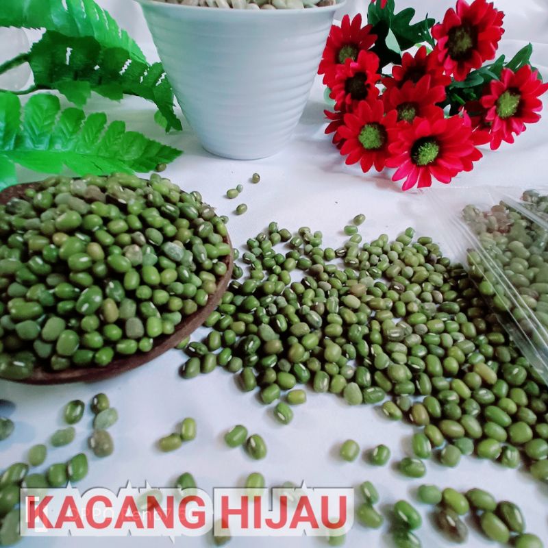

KACANG HIJAU ORGANIK SUPER DENGAN KUALITAS TERBAIK