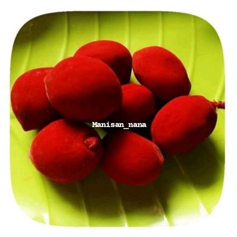 

Manisan buah persik / Manisan Sian Tho ( 250gram)