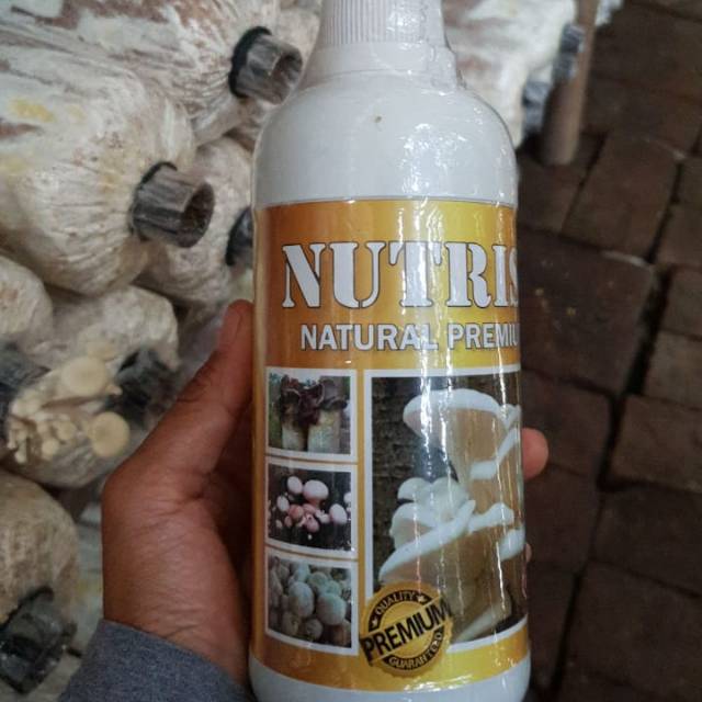Jual [COD] NUTRISI JAMUR TIRAM 600 ML /NUTRISI NATURAL PREMIUM BISA
