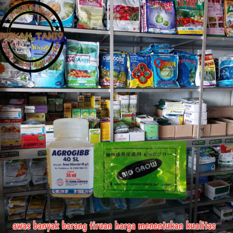 PAKET PEMBESAR BUAH NAGA agrogibb 40sl dan big grow