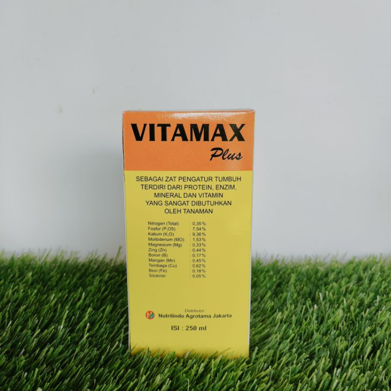 Vitamax Plus ZPT 250ML