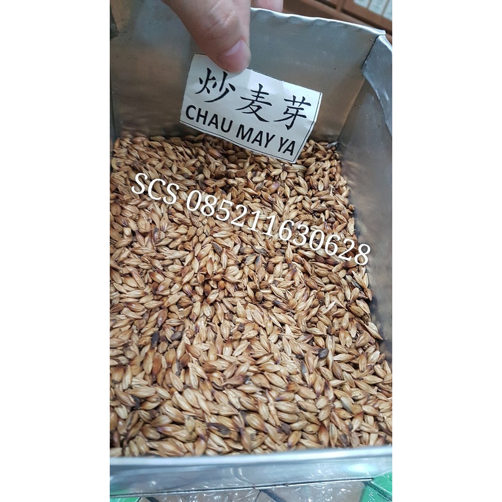 

100 G GR GRAM MAI YA BARLEY SPROUT SPROUTS MALT