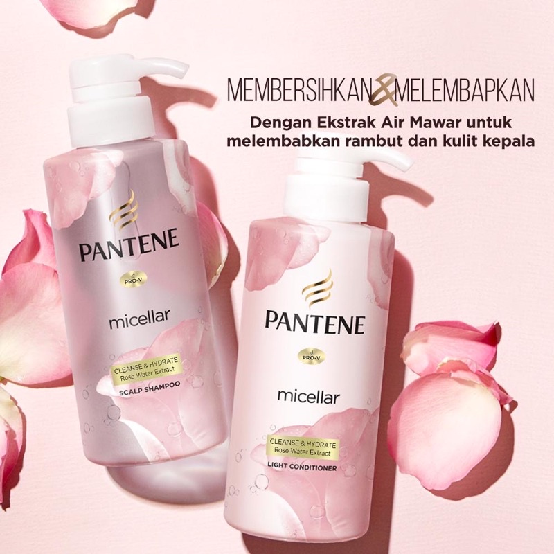 PL Pantene Micellar Rose Water Shampoo & Conditioner