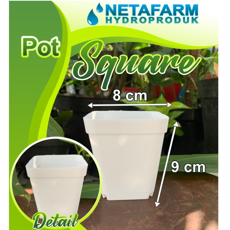 Pot Square Putih Kotak 8 cm - 1 pcs