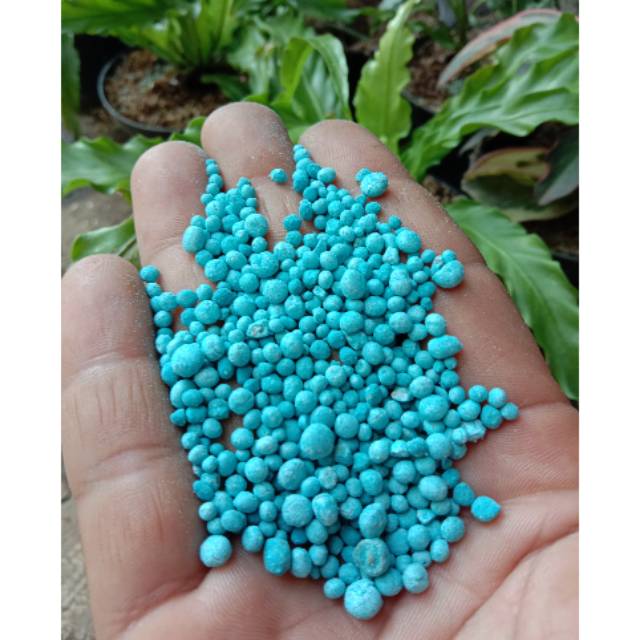 Pupuk NPK mutiara jual per 1/2 Kg
