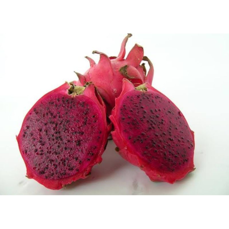 

Buah Naga Merah 1 kg