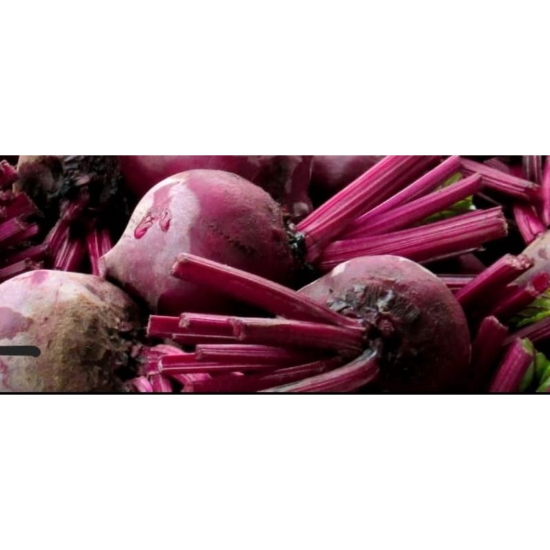 

Beet Organik