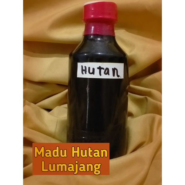 

MADU HUTAN / MADU ASLI HUTAN LUMAJANG
