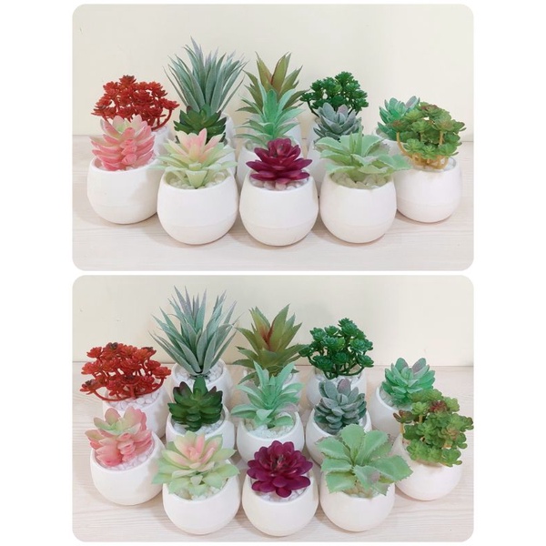 Kaktus Sukulen Artificial / Kaktus Sukulen Palsu / Kaktus Sukulen Plastik / Sukulen Imitasi