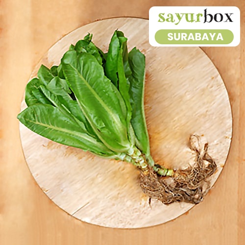 

Selada Romaine Conventional 1 kg (Sayurbox) - SURABAYA