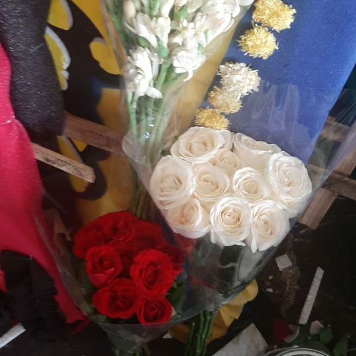 

DISKON SPESIAL PESANAN LILI TERMURAH