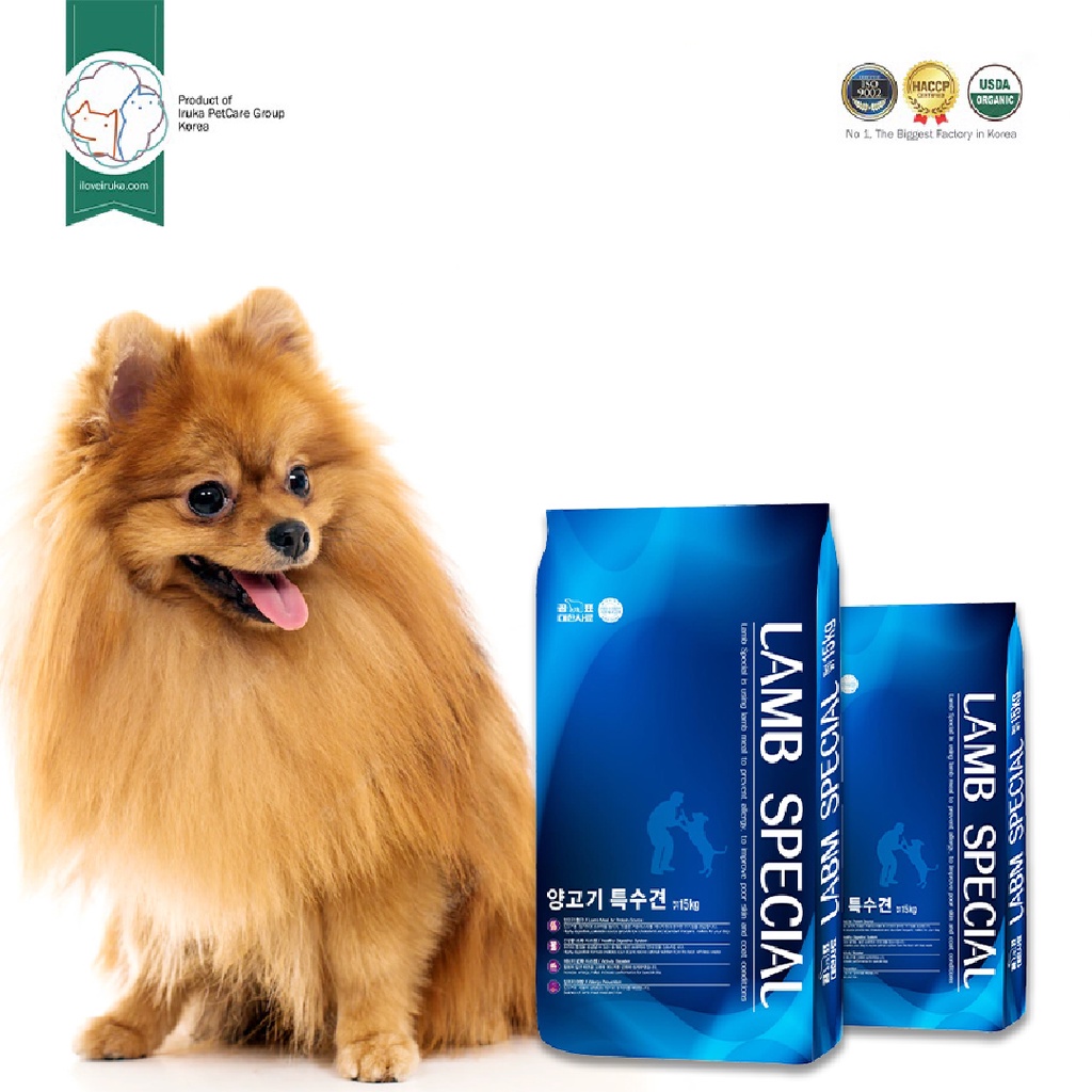 40 lb Dog Food: A Comprehensive Guide to Feeding Your Medium-Sized Friend