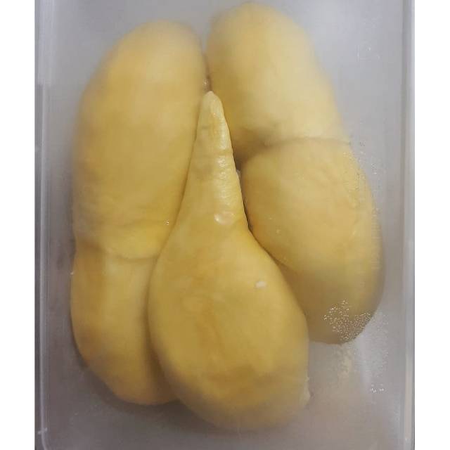 

Durian Montong Palu