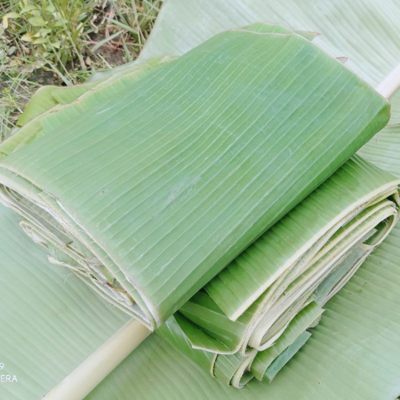 

daun pisang segar perikat