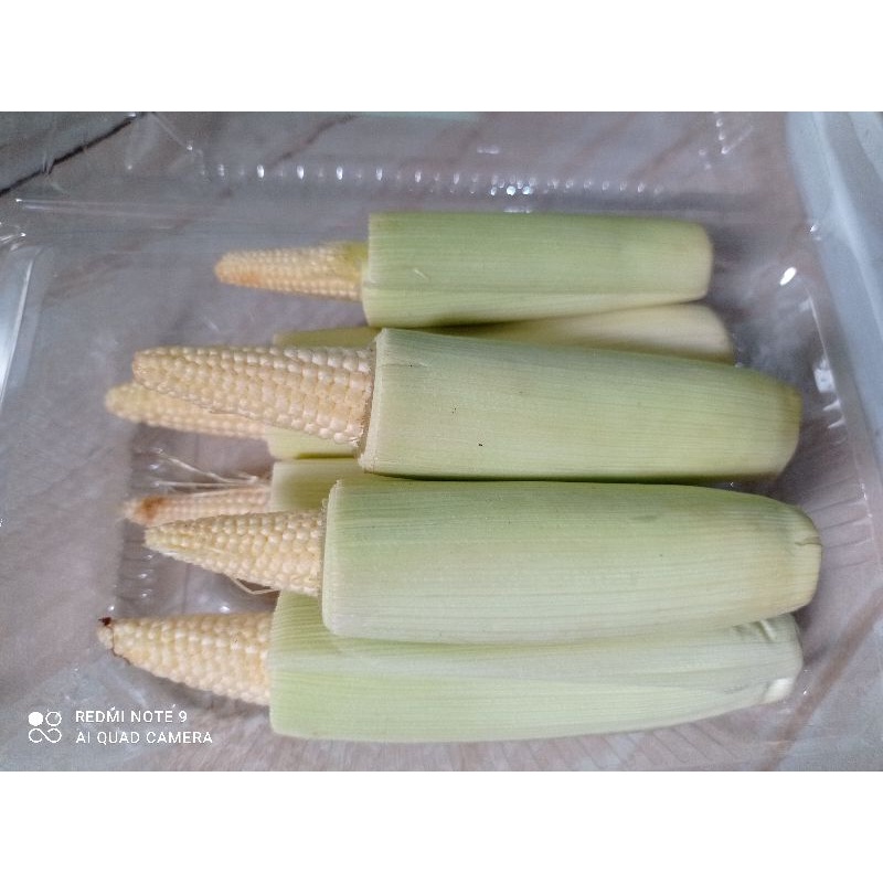 

jagung putren 250gr