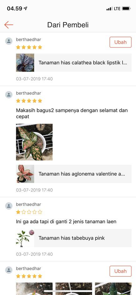 Tanaman Hias Murah 4 Aglonema/paket Aglaonema Hemat Aglo Donacarmen Lipstick Snow White Rotundum
