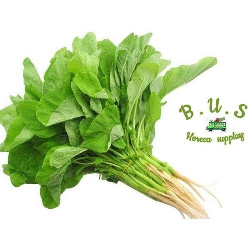 

Bayam Hijau 1kg B.U.S