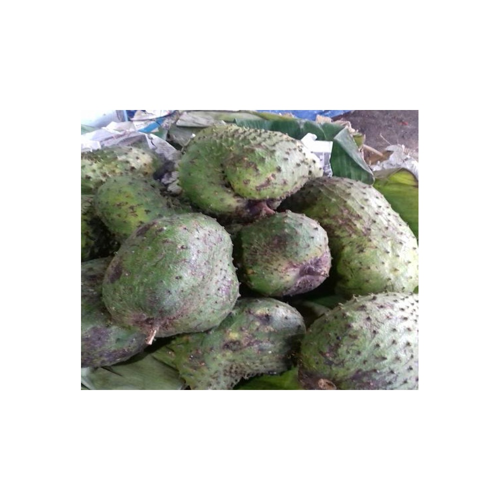 

Buah Sirsak/1Kg