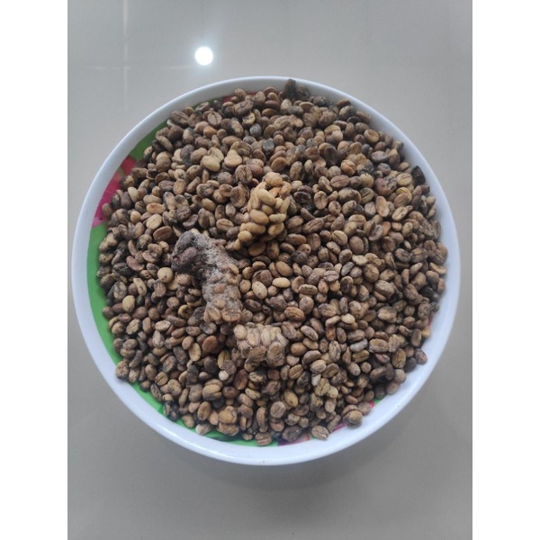 

KOBOSHOP Kopi luwak liar arabika asli pegunungan ijen 250gr